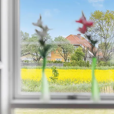 Amazing In With Wifi * Neksø